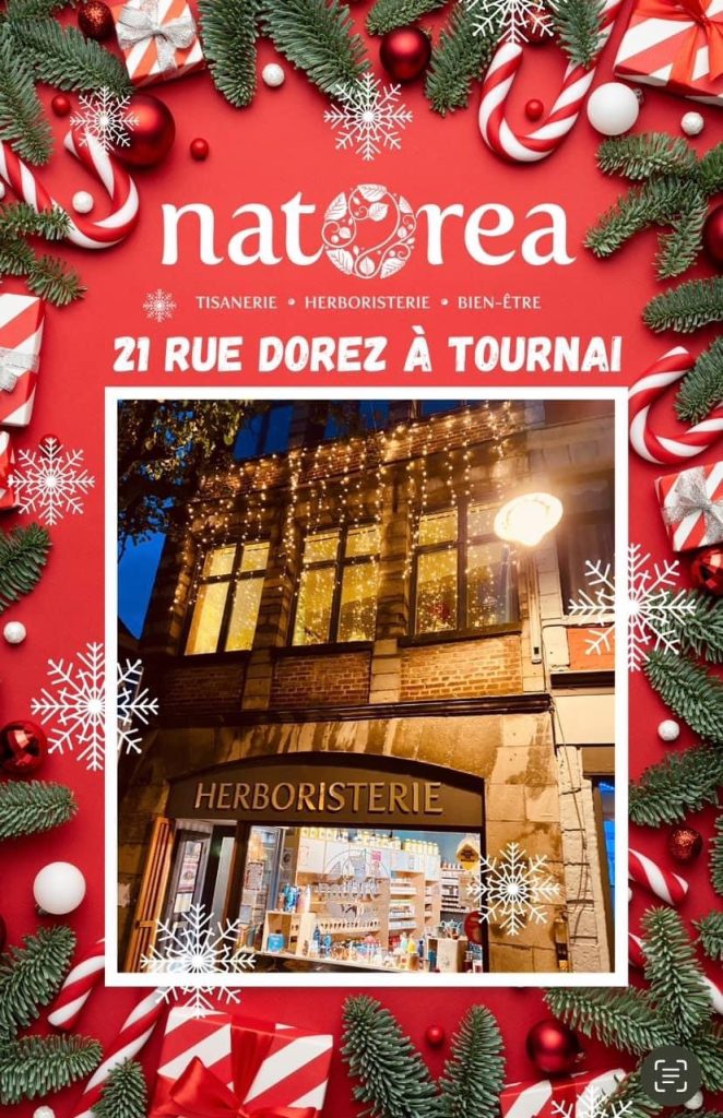 Boutique de Noël à Tournai